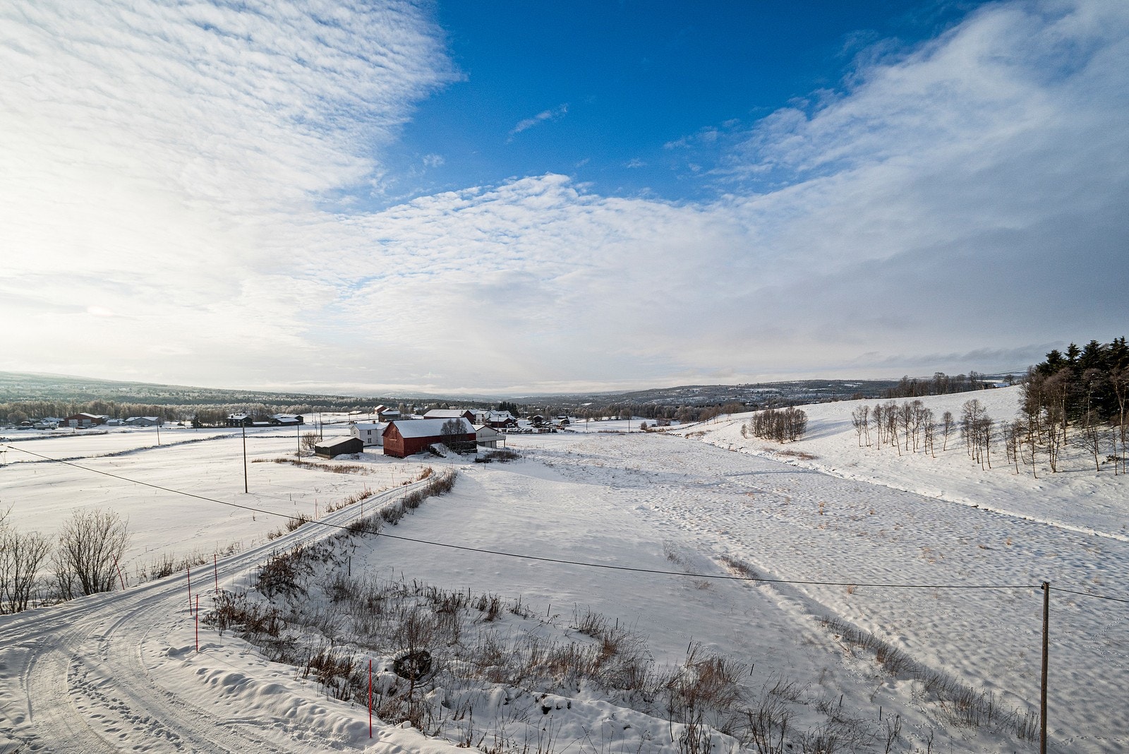 Utsikt. Galleribilde