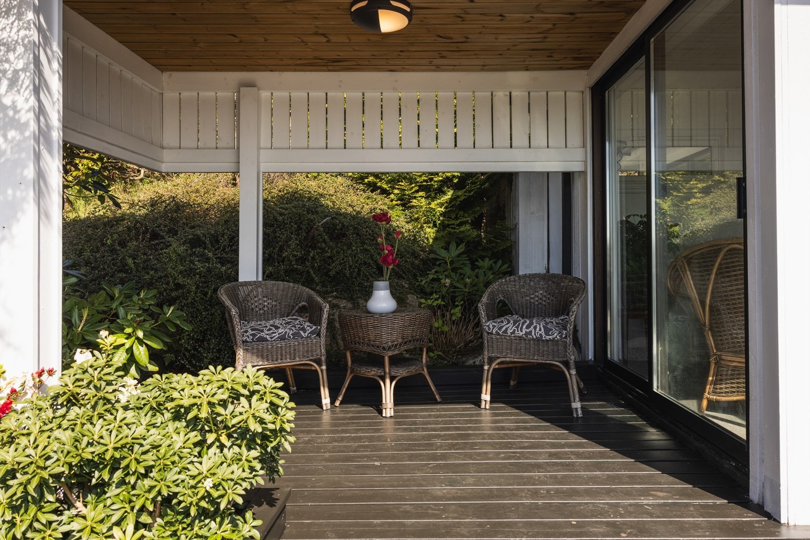 ALN-38.jpg Galleribilde