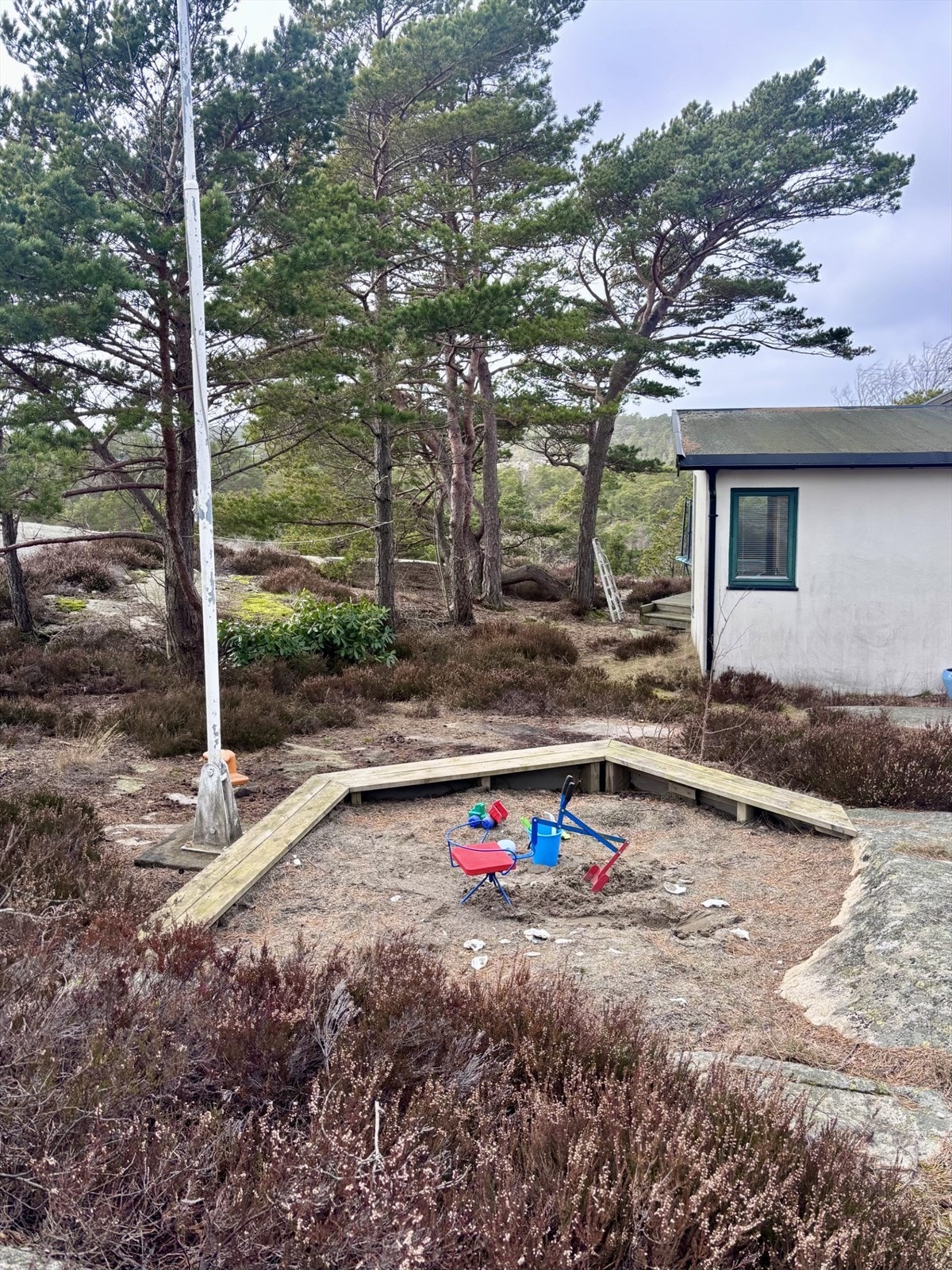 Foto: selgers private bilder Galleribilde