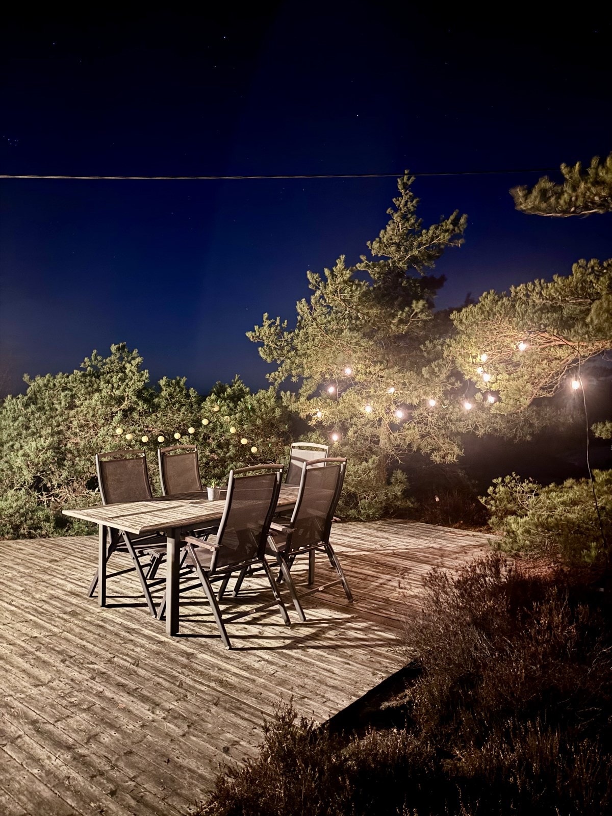 Foto: selgers private bilder Galleribilde