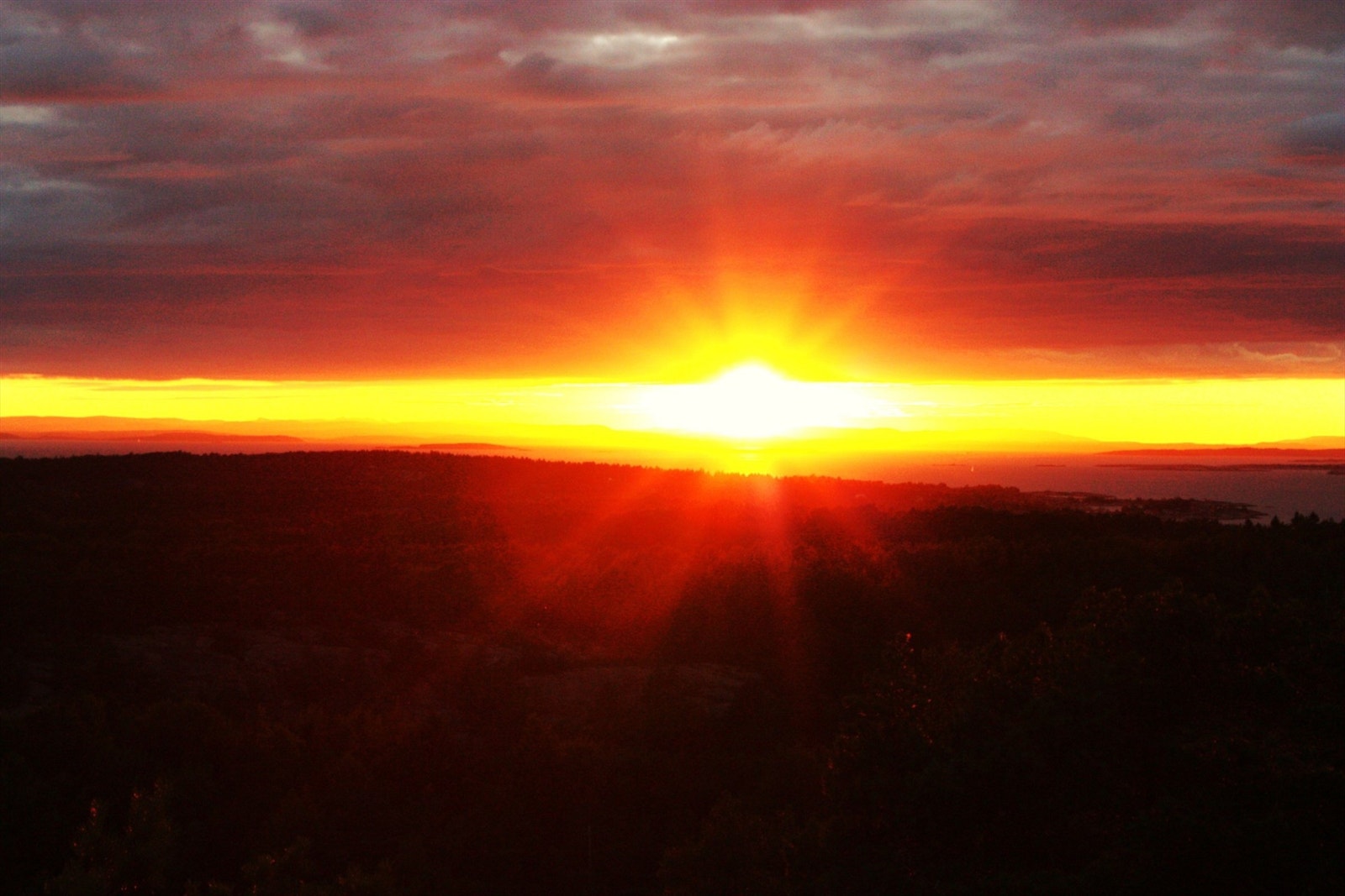 Foto: selgers private bilder Galleribilde