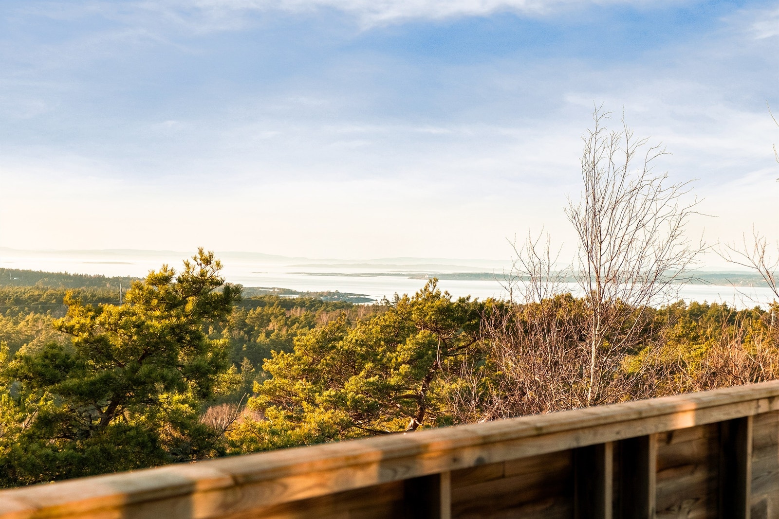 På terrassen skuer du rett ut på Oslofjorden og kjente landskapsformasjoner som Rauøy, Missingene og Søster. Galleribilde