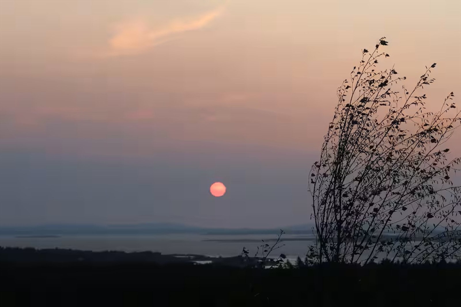 Foto: selgers private bilder Galleribilde