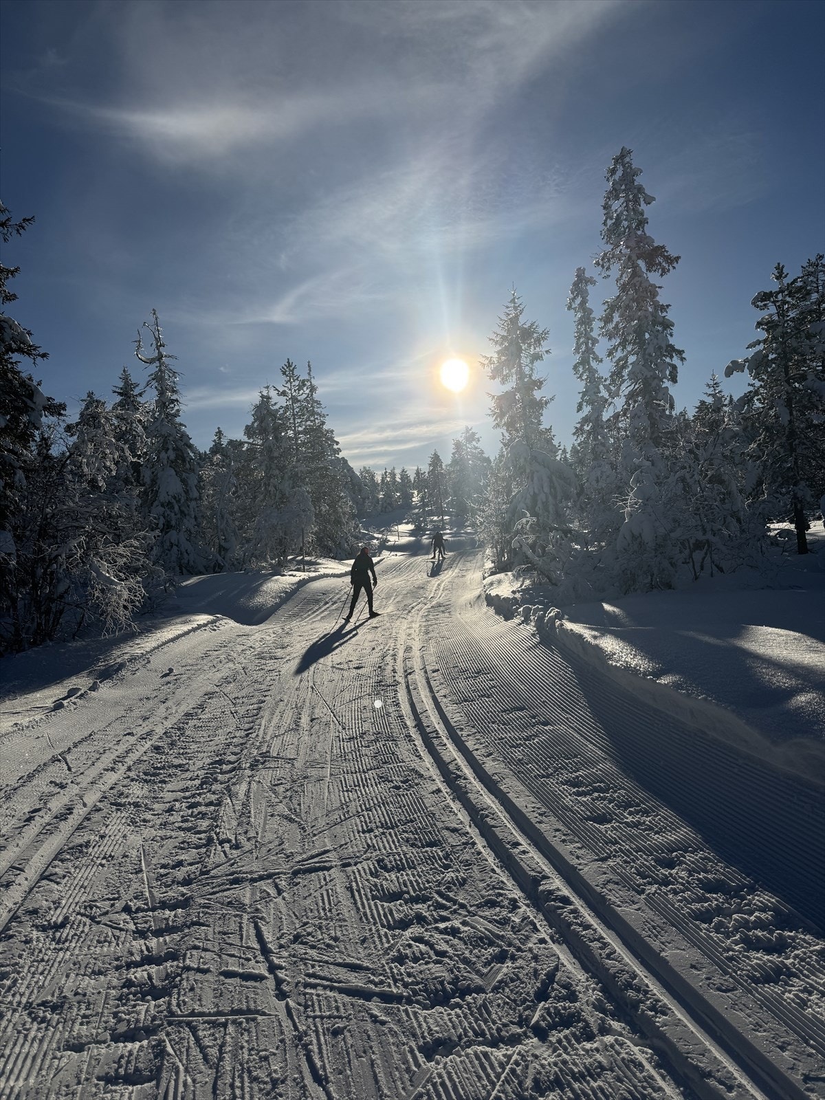 Privat bilde. Flotte skiløyper rett ved hytta. Galleribilde
