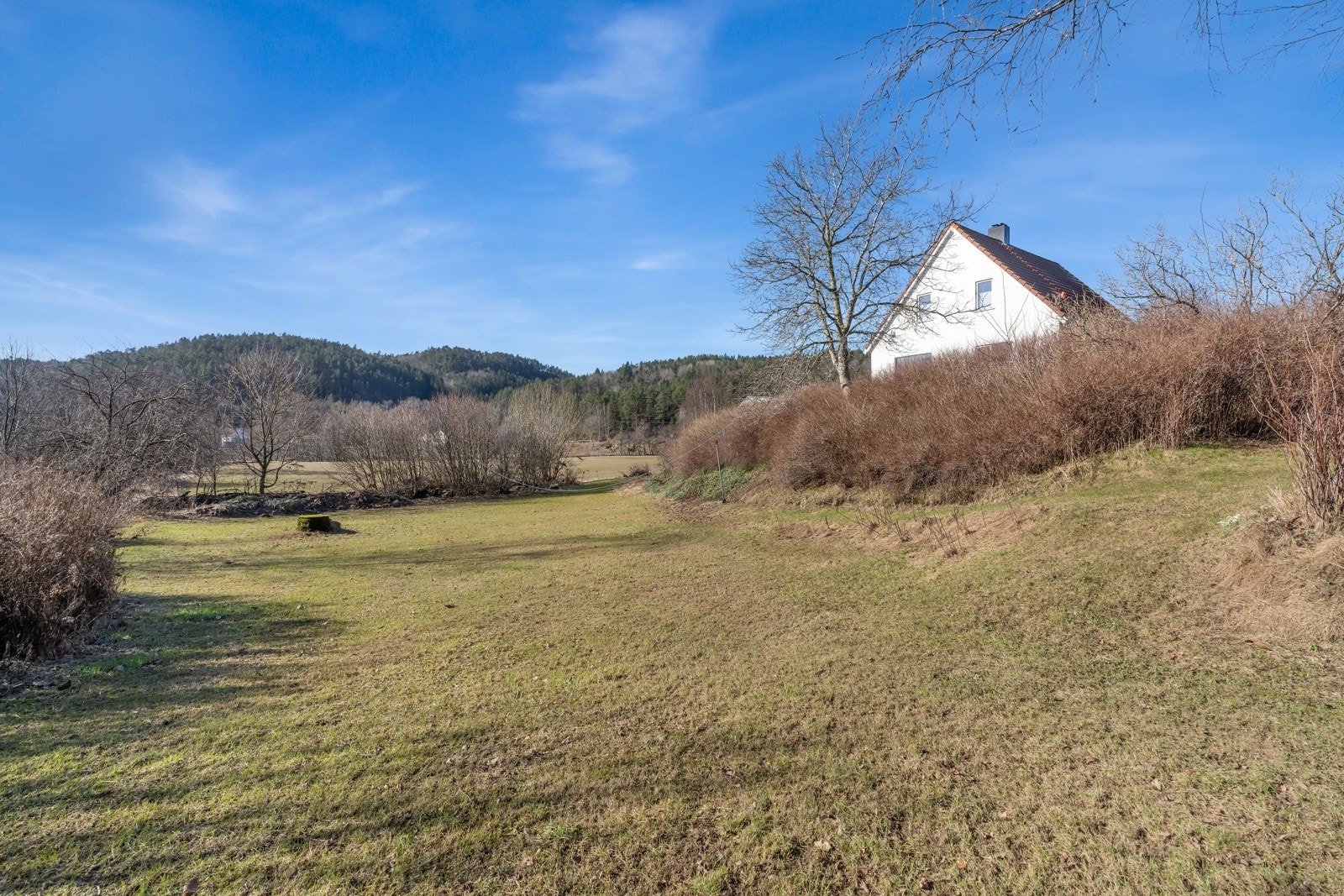 Tomten er på hele 2338 kvm. Galleribilde