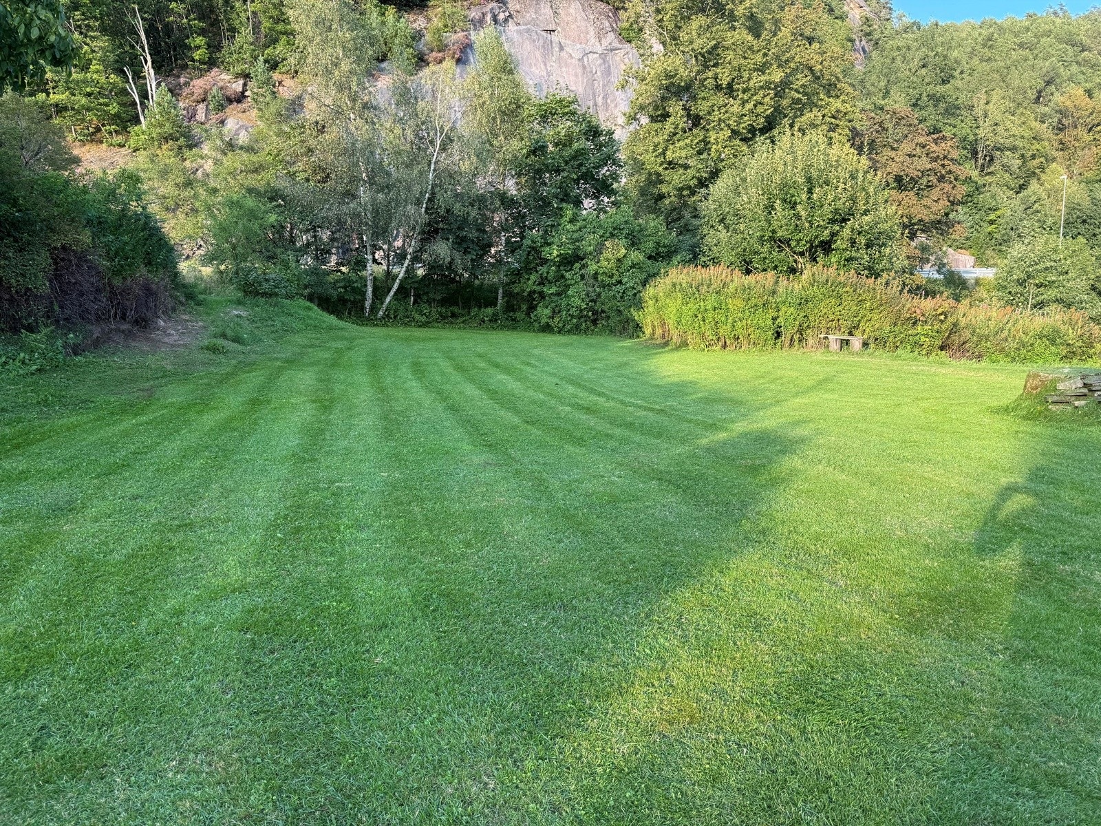 Og slik ser noe av tomten ut på sommeren (selgers private bilde) Galleribilde