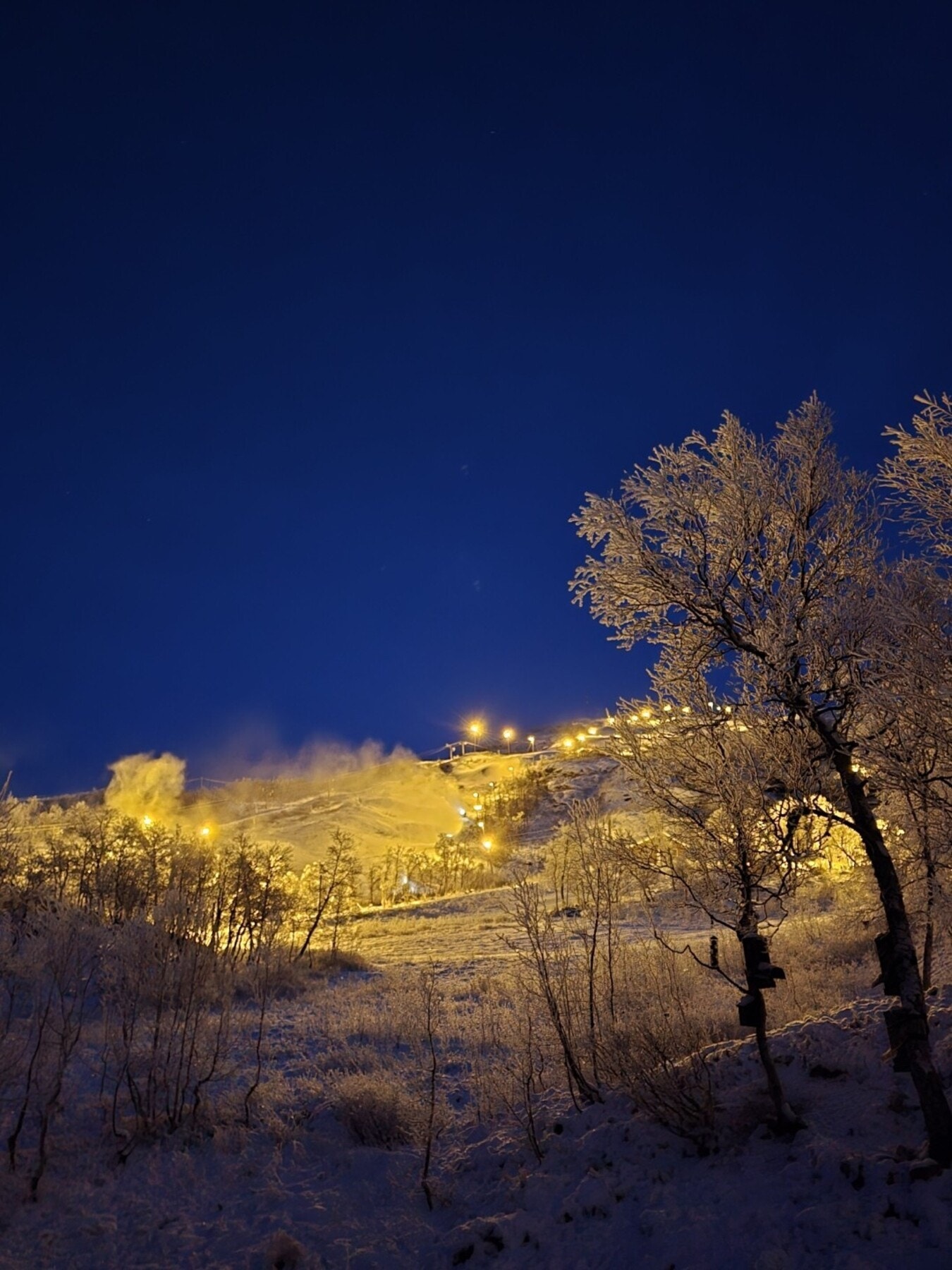 Tyin Filefjell skisenter Galleribilde
