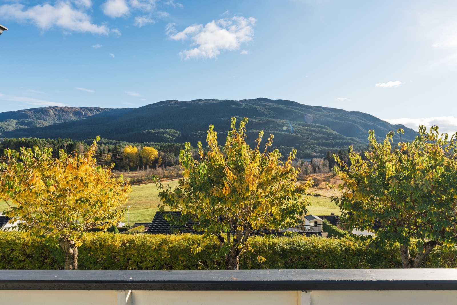 Altanen er sør-vest vendt med nydelige solforhold. Galleribilde