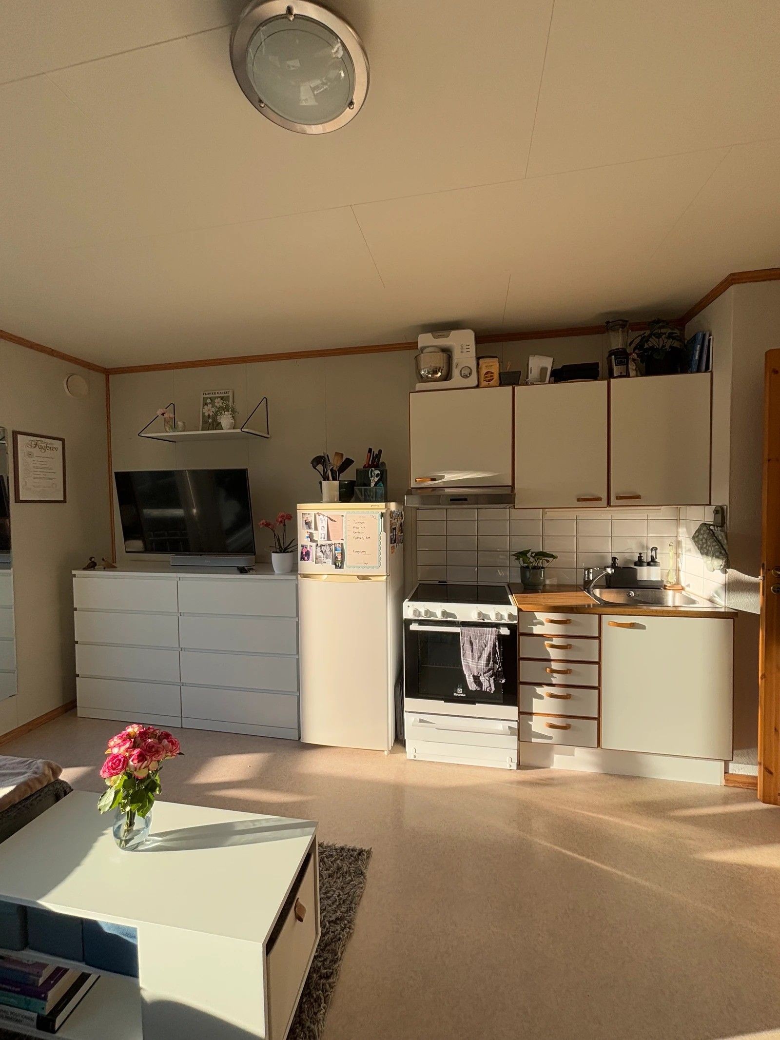 11ØM 1.2: Hvitevarer medfølger. Galleribilde