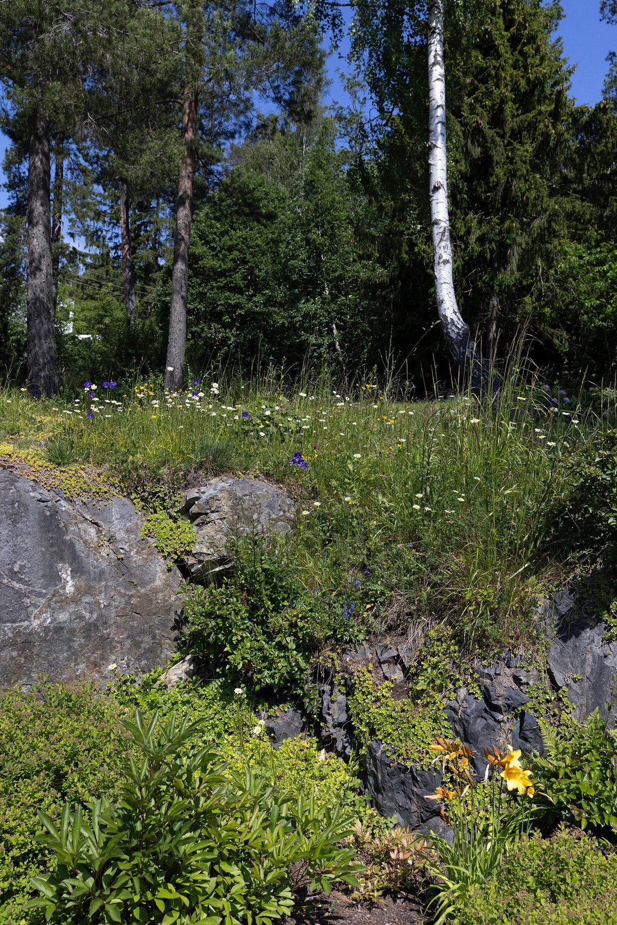 Del av naturtomten som disponeres av seksjonen, med pent opparbeidet blomsterbed og blomstereng. Galleribilde