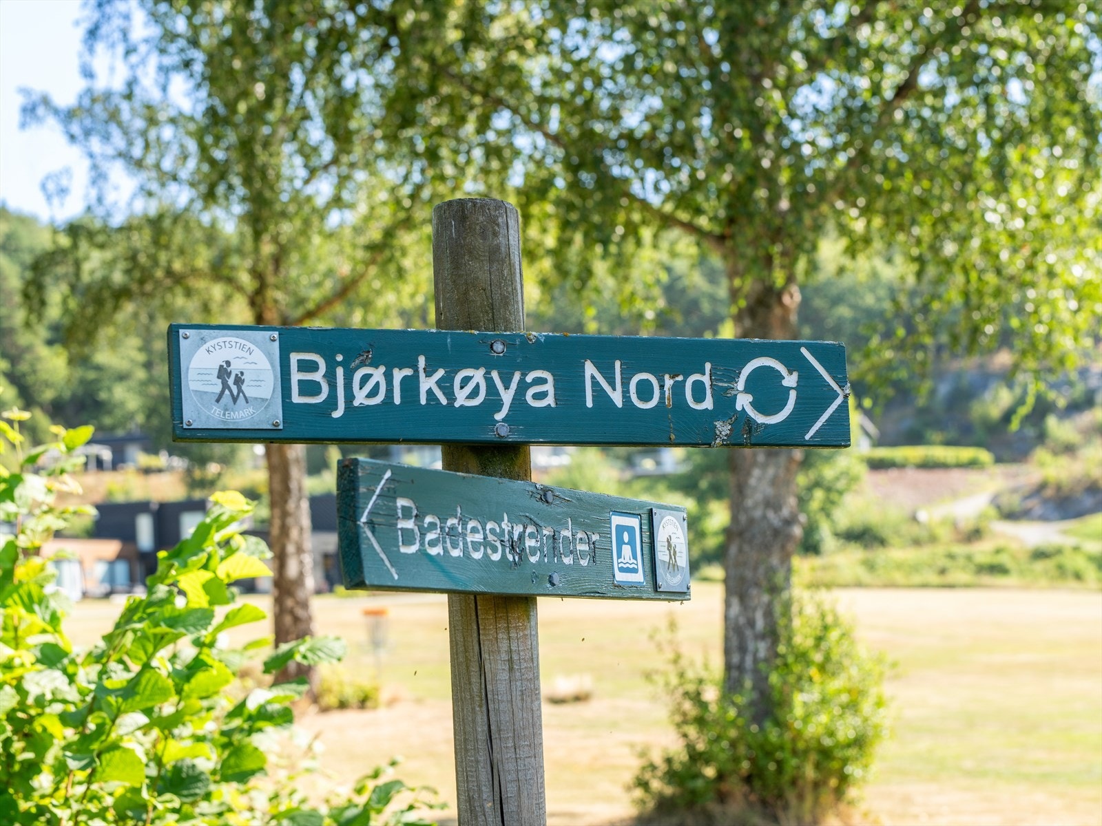 Det går fin rundløype rundt øya. Galleribilde