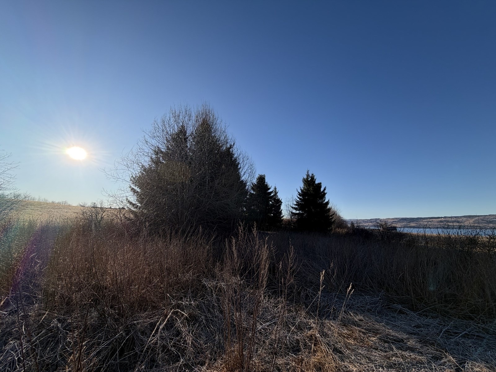 IMG_7214.jpeg Galleribilde