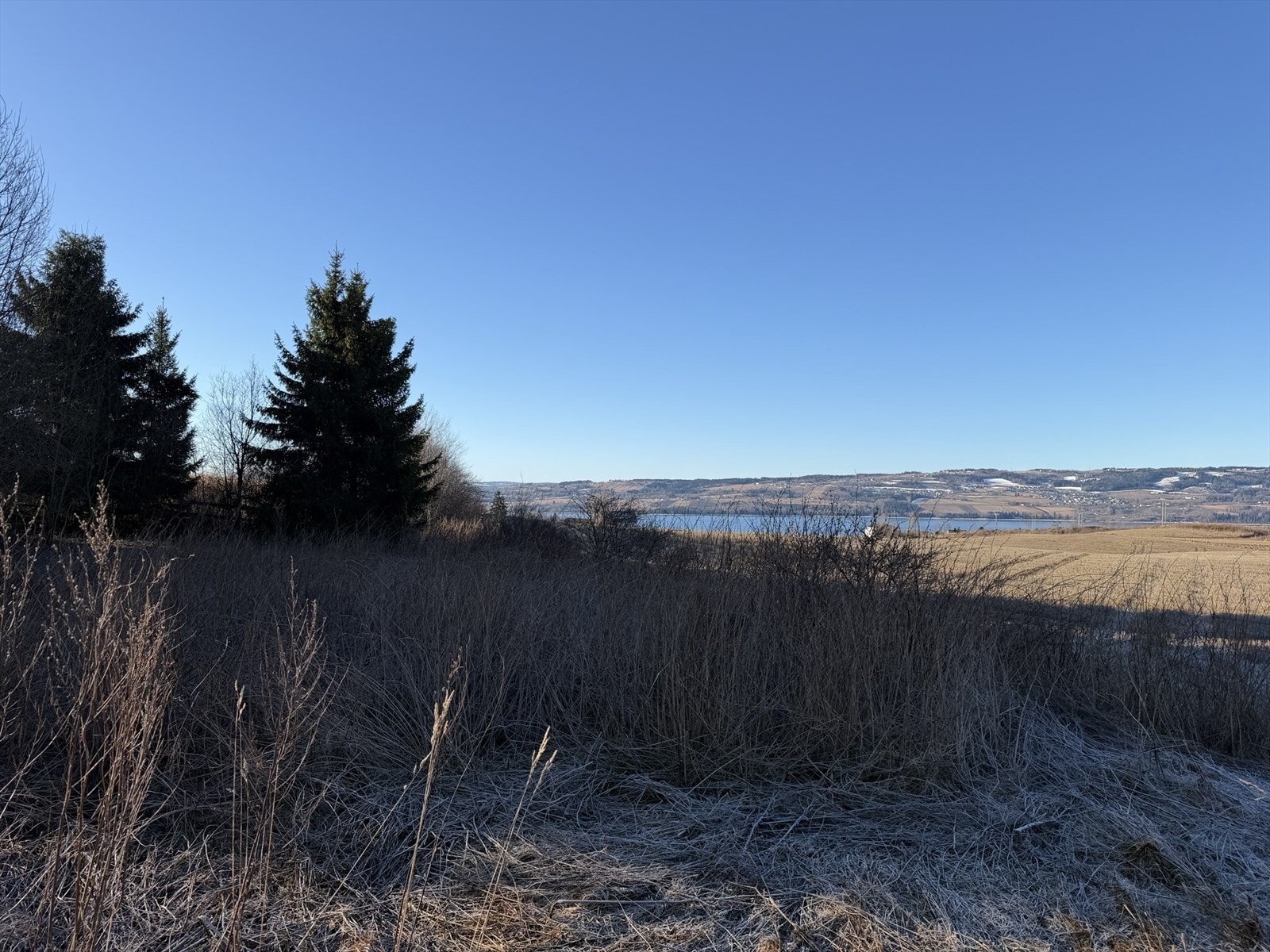 IMG_7217.jpeg Galleribilde