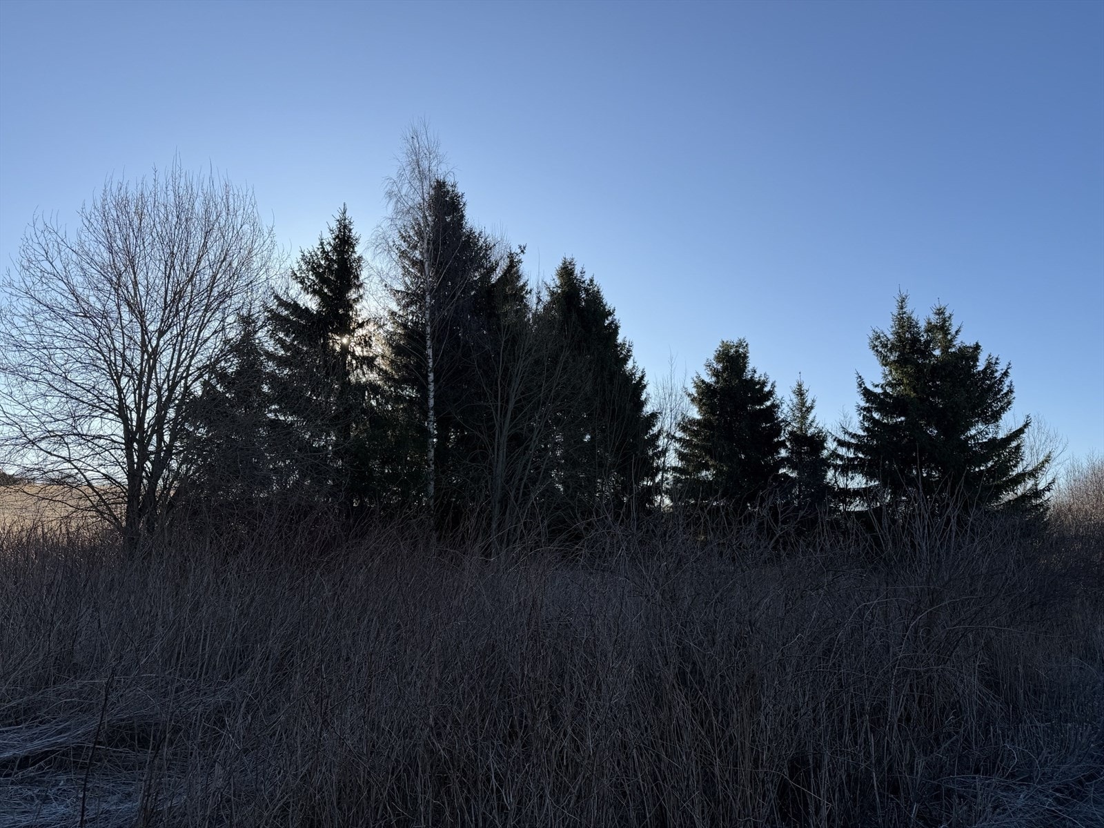 IMG_7221.jpeg Galleribilde