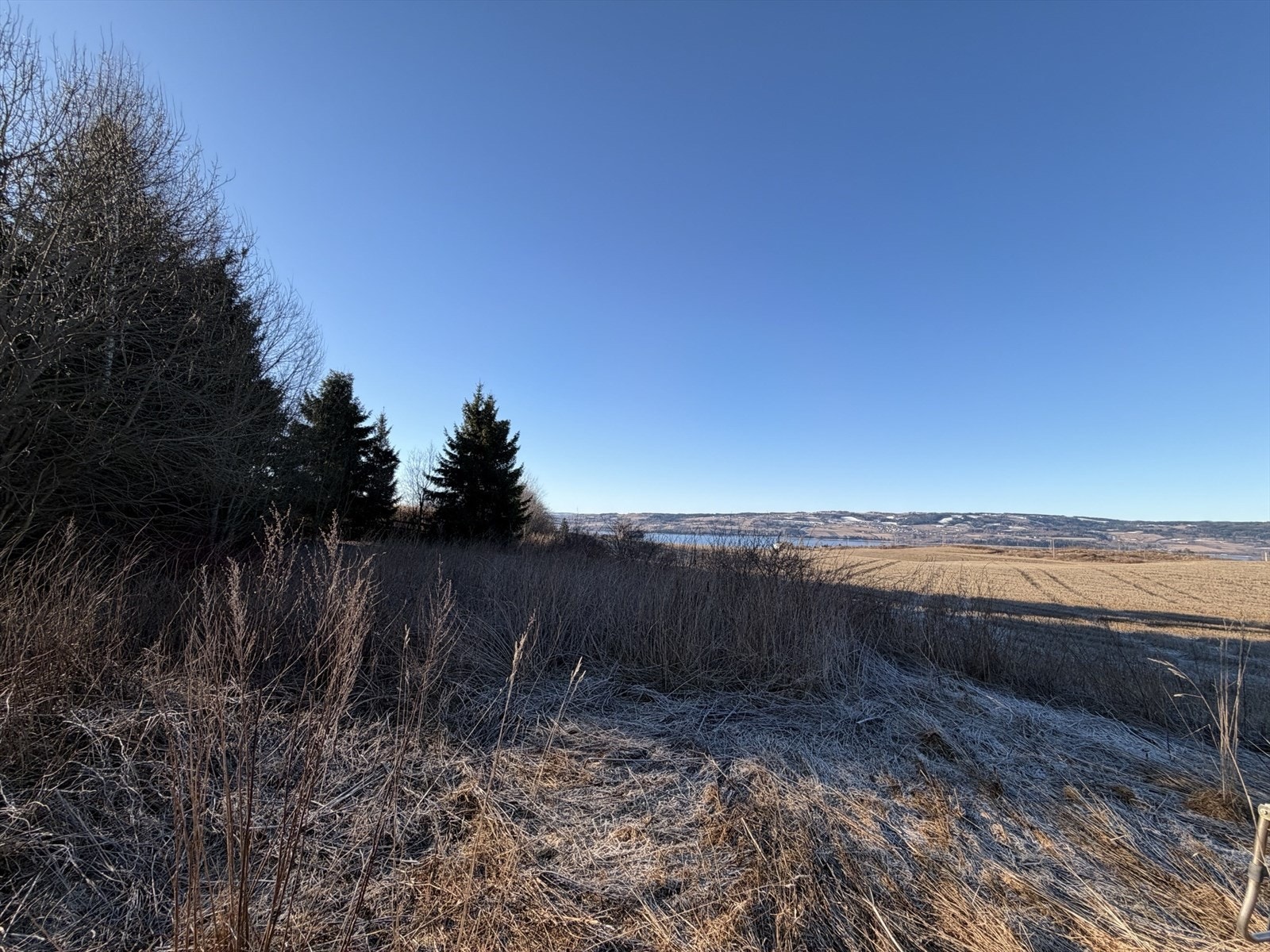 IMG_7216.jpeg Galleribilde