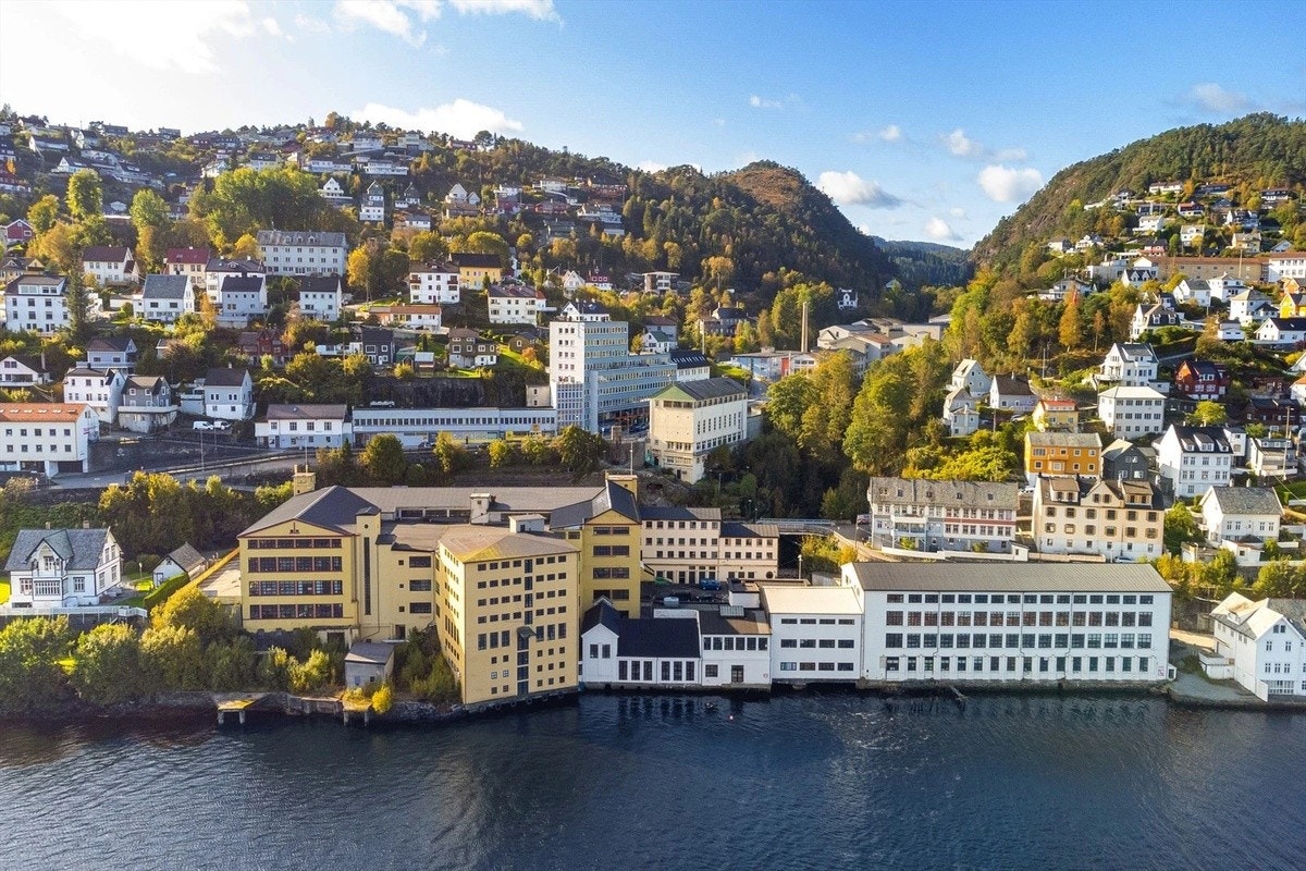 Nærområdet. Galleribilde