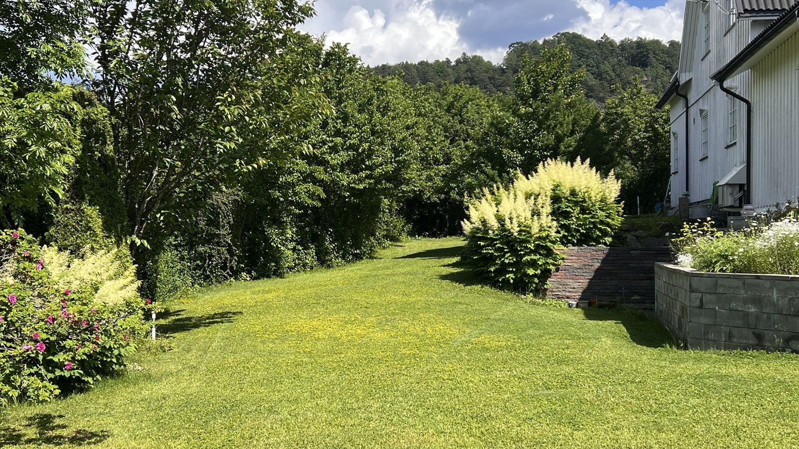 Privat bilde - hage Galleribilde