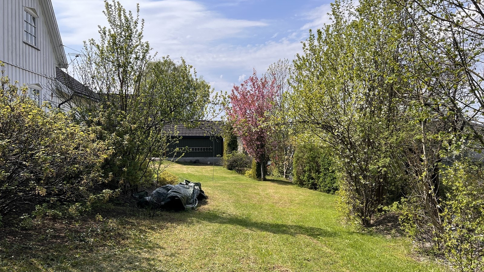 Privat bilde Galleribilde