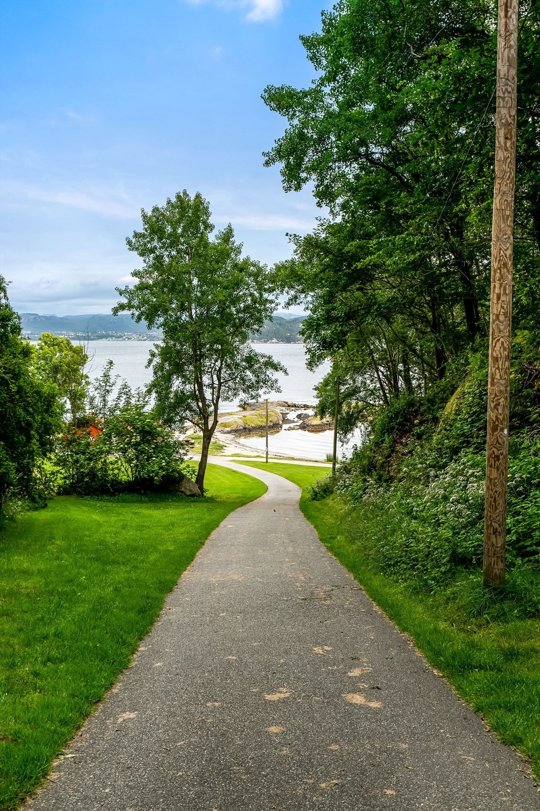 Nærområde. Galleribilde