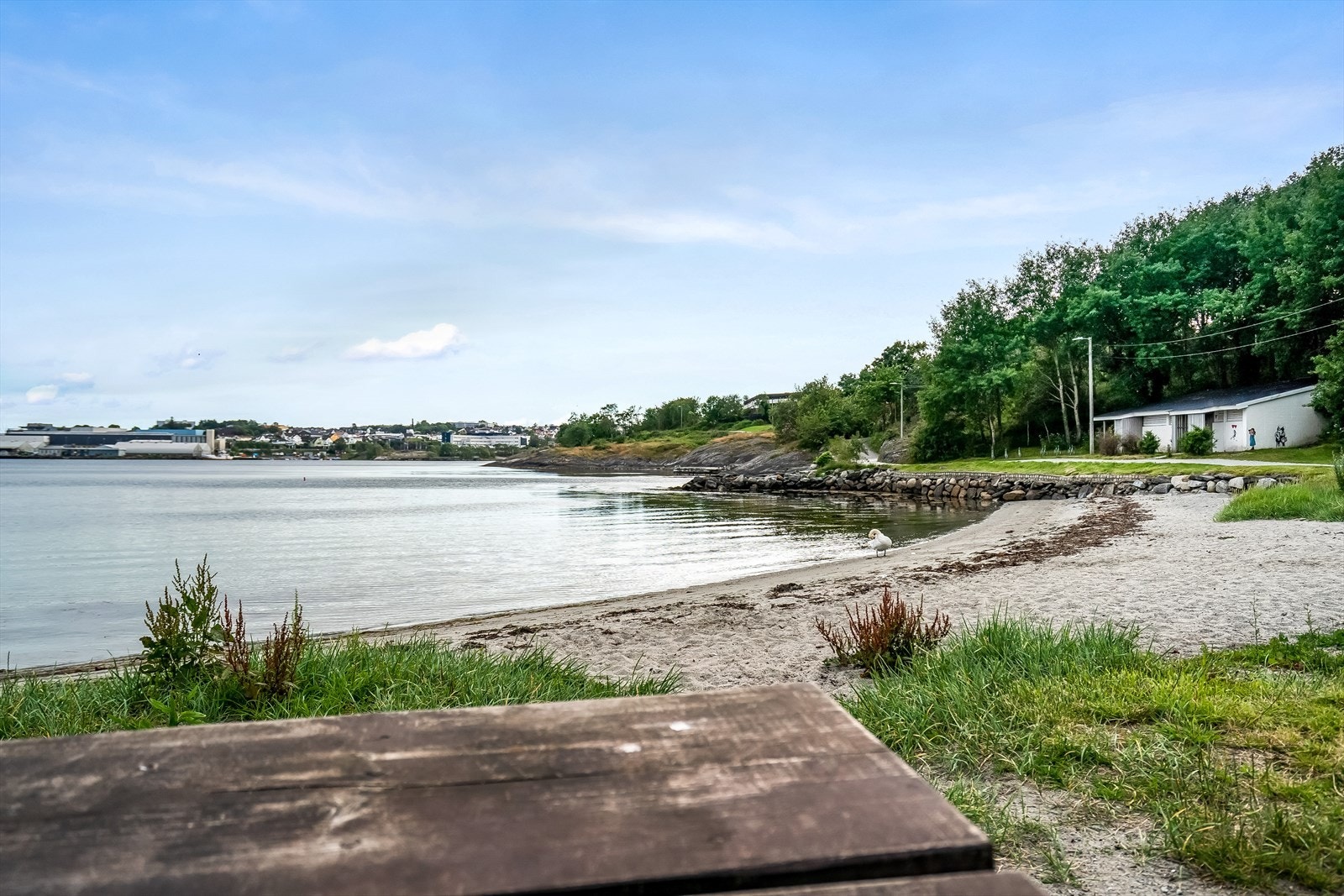 Nærområde. Galleribilde