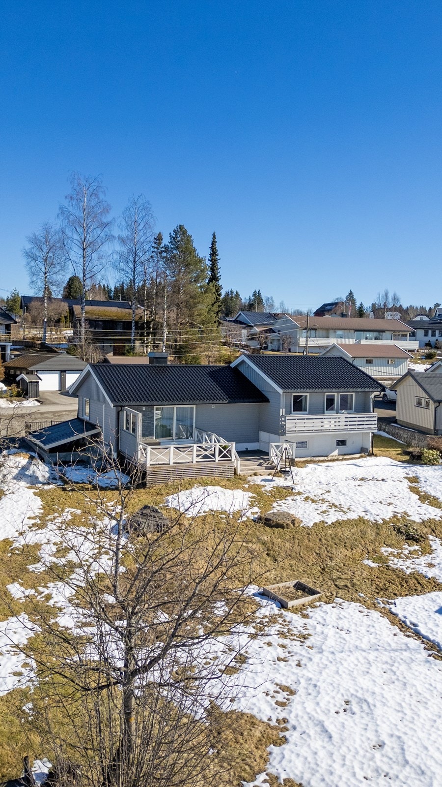 Tomt med plen og beplantning. Galleribilde