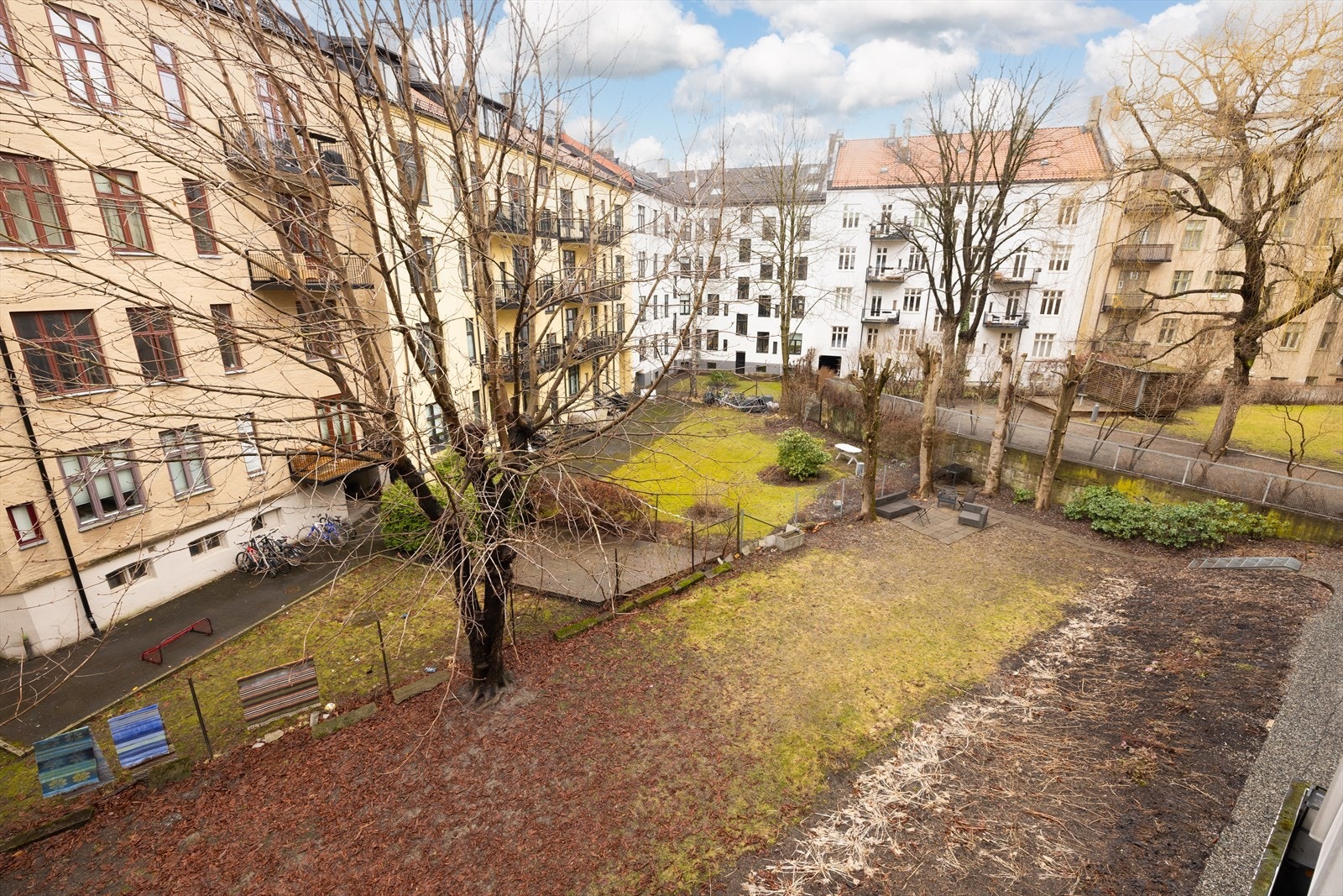 Stor bakgårdshage med gressplen og trær. Galleribilde