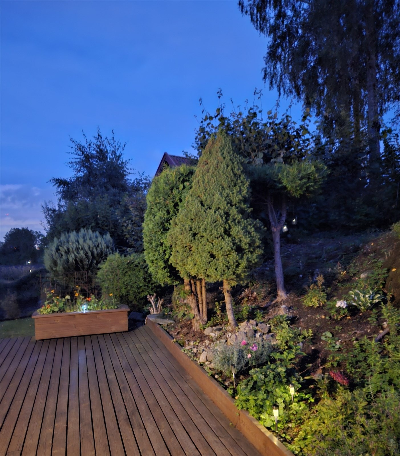 Privat bilde Galleribilde