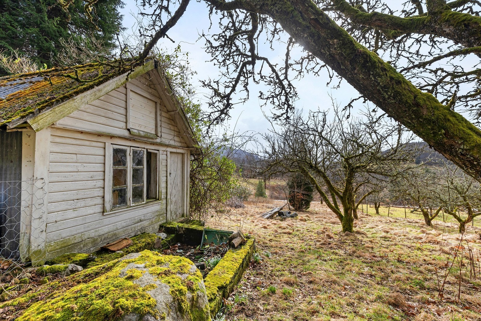 Uthuset har også et betydelig vedlikeholdsbehov. Galleribilde