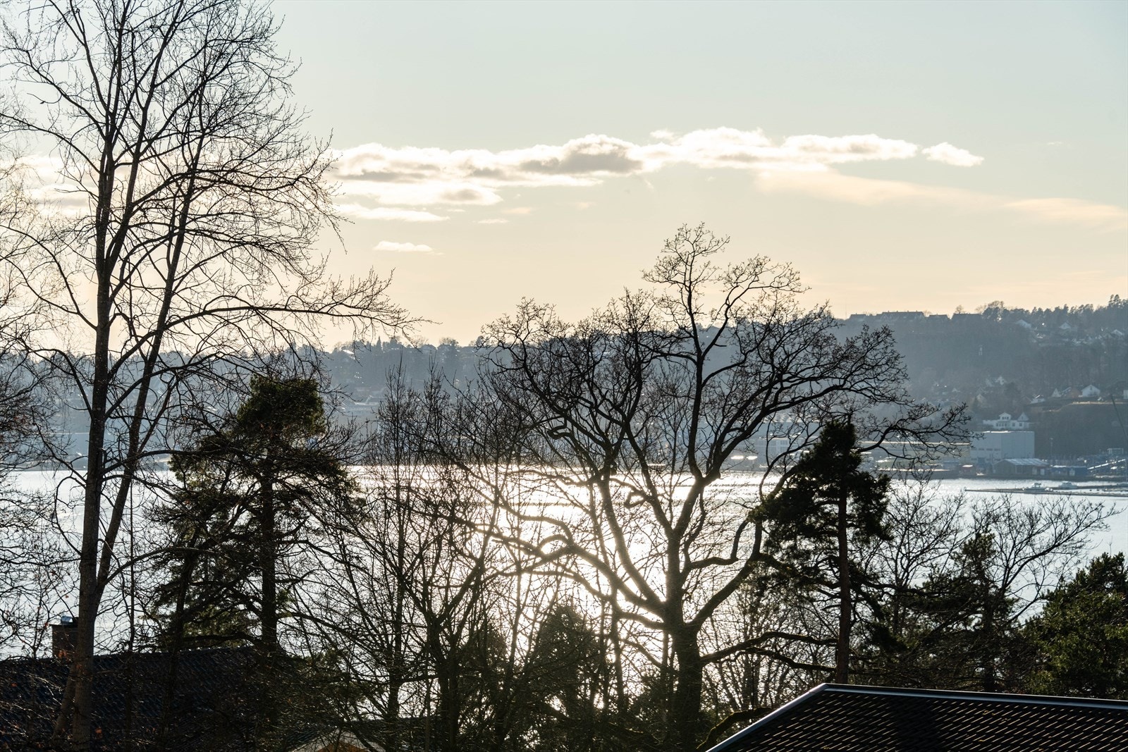DSC_5017.jpg Galleribilde
