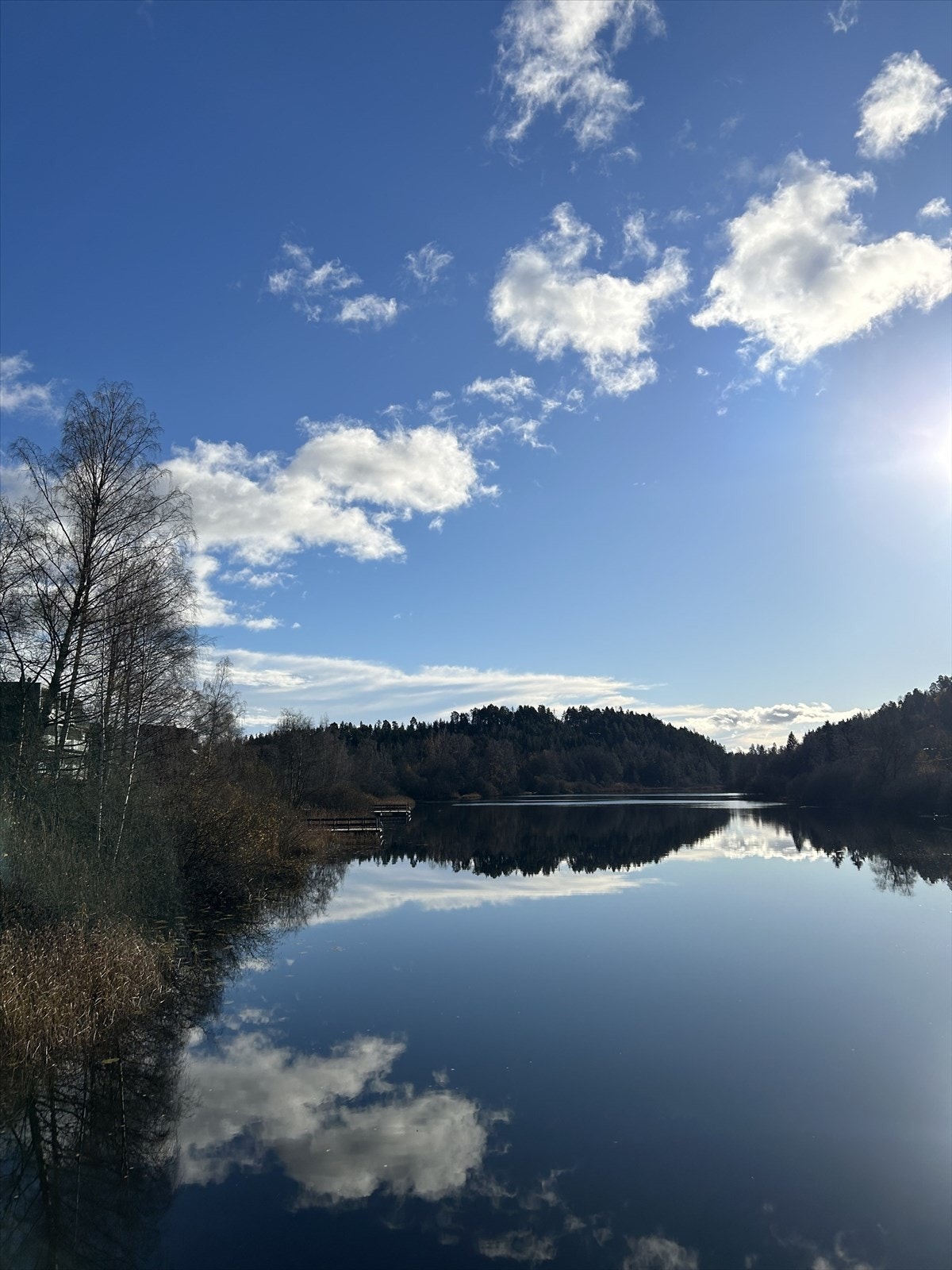 Bondivann kommer fra selveste Semsvannet. Det er populært med isfiske på Bondivann. Galleribilde