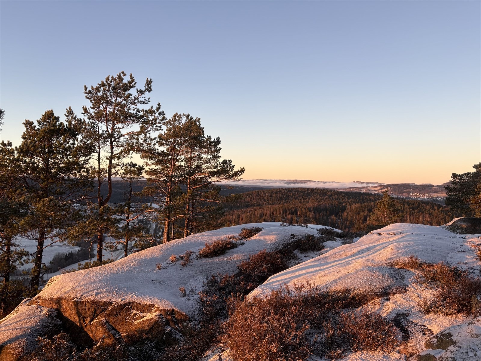 Fine turstier på Varåsen. Er også fin turvei ned langs Blakstadelven til fjorden. Galleribilde