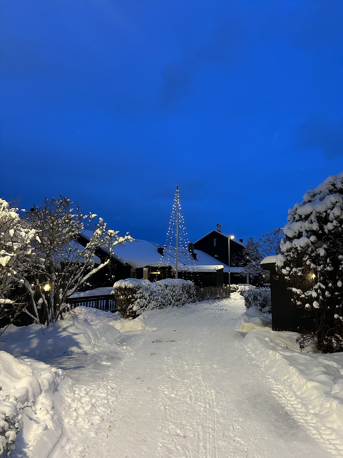 Vinter i gata. Galleribilde