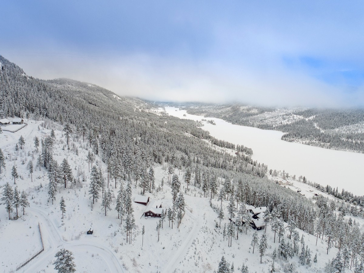 På vinterstid får du ekte ski in - ski out , med skitrase som starter ved nedre tomtegrense. Løypenettet er omfattende og godt preparert gjennom hele sesongen av Espedalen Ski- og Løypelag. Galleribilde