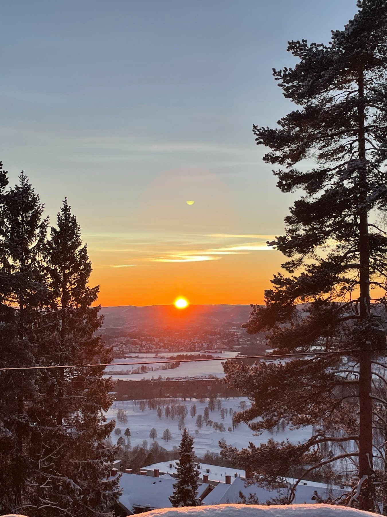 Selgers utsiktsbilder. Galleribilde