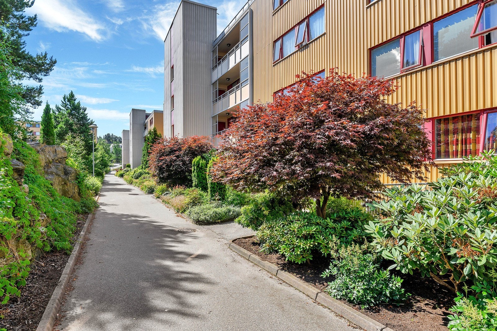 Vårstemning Galleribilde