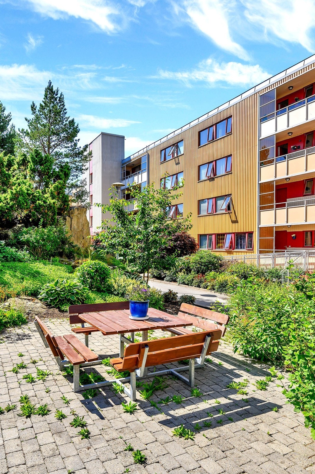 Vårstemning Galleribilde