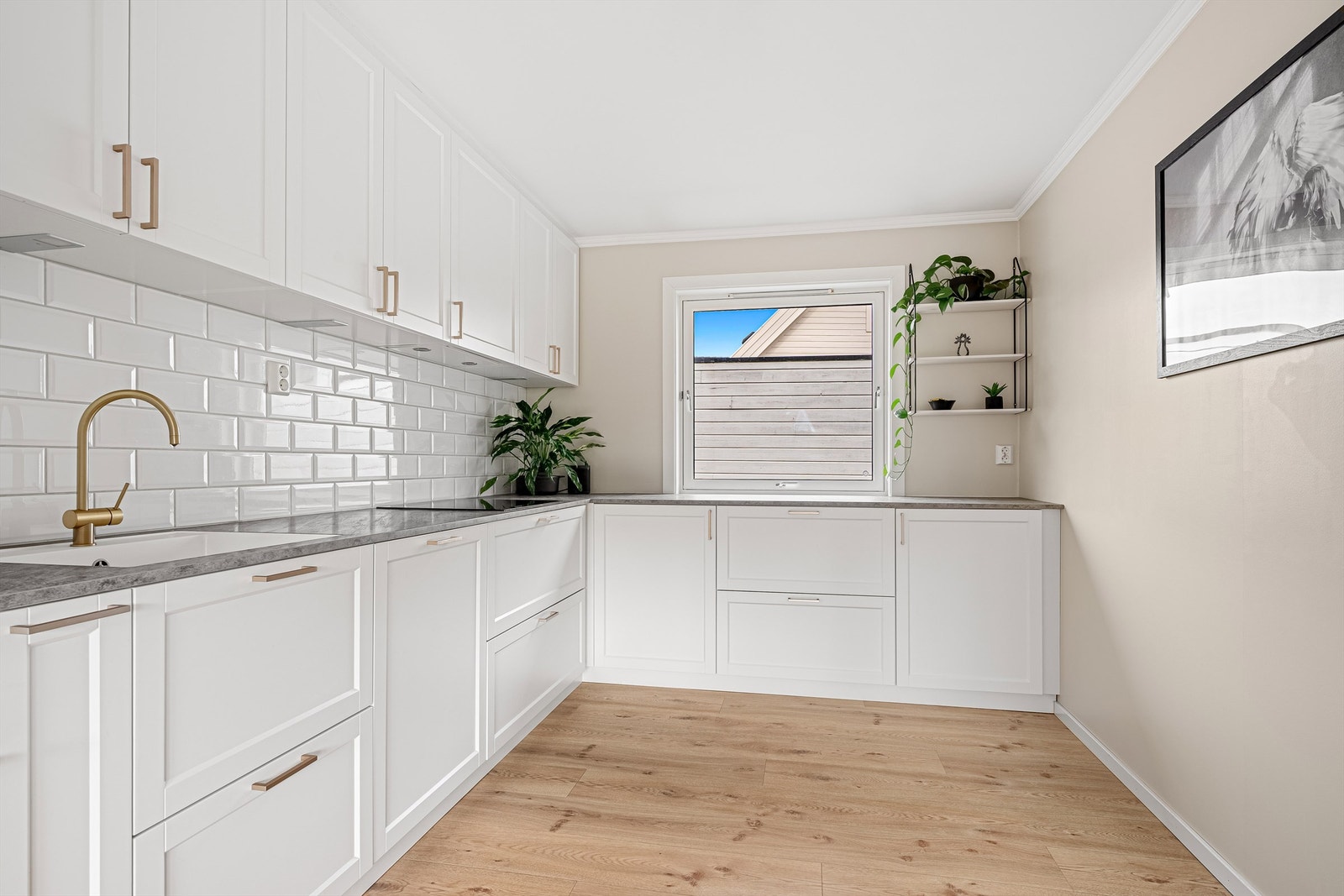 Pent kjøkken fra 2019 Galleribilde