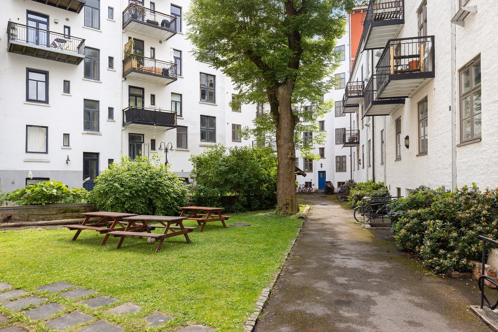 Her får du en flott og frodig bakgård med trær, busker og diverse beplantning. Galleribilde
