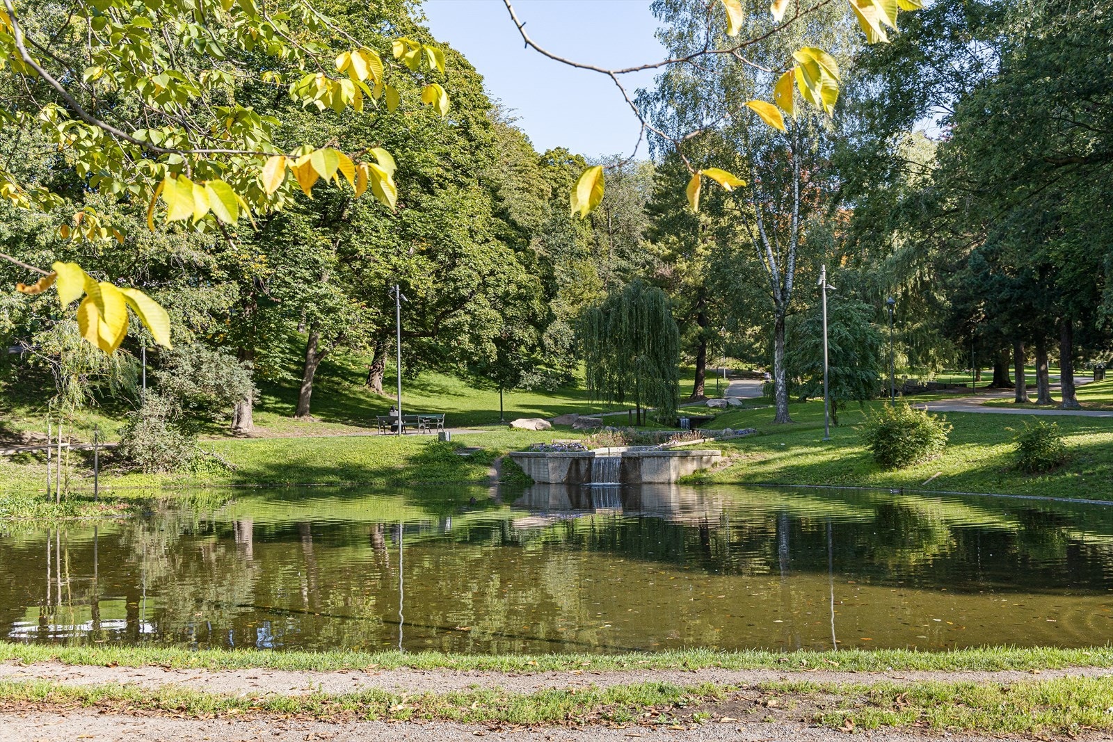 Områdebilde. Galleribilde