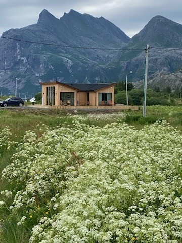 Bilde tatt av selger. Galleribilde