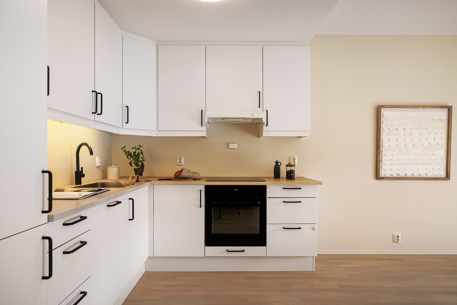 I tillegg er oppvaskmaskin fra 2025. Galleribilde