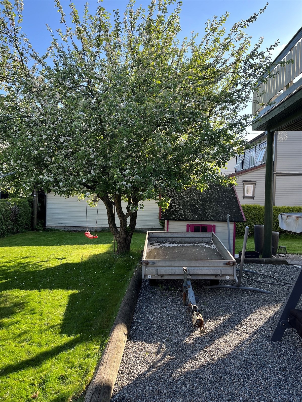 3 epletrær i hagen.jpg Galleribilde