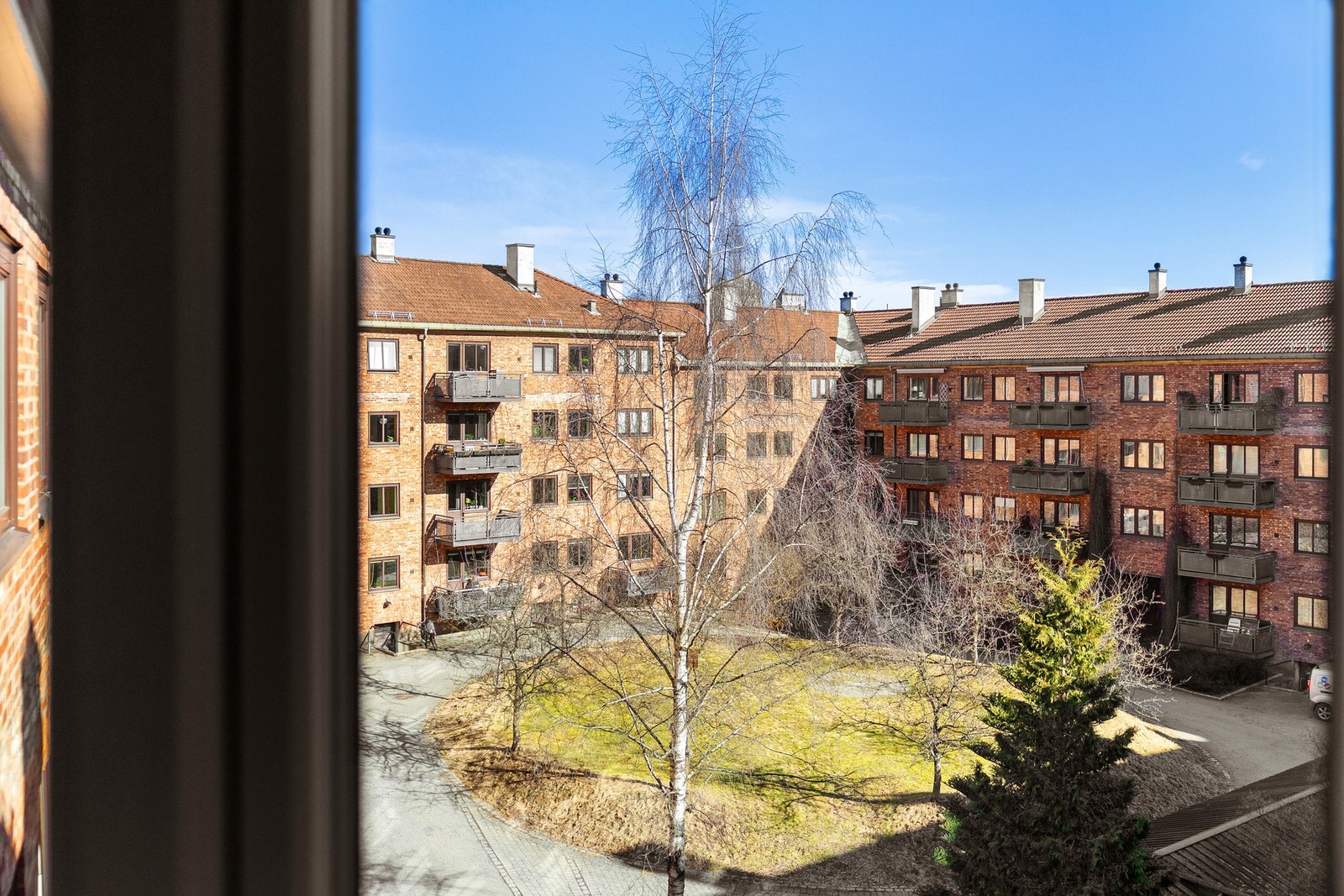 Hyggelig utsyn mot felles bakhage. Galleribilde