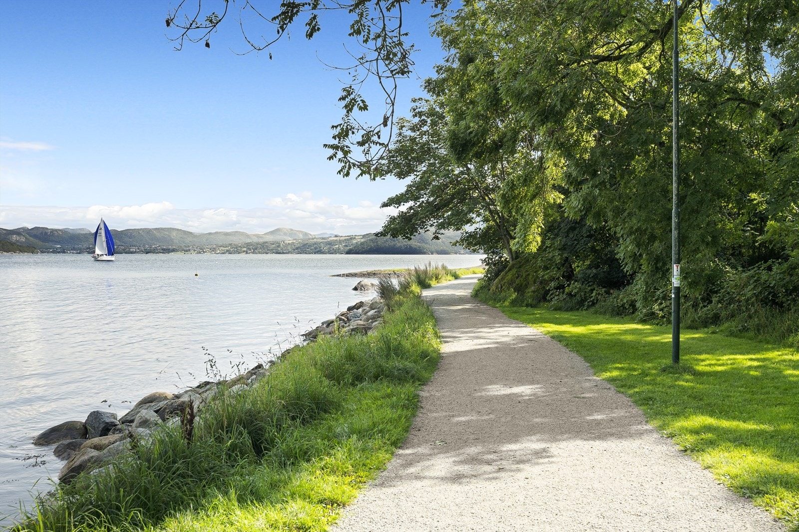 Nærområde. Galleribilde