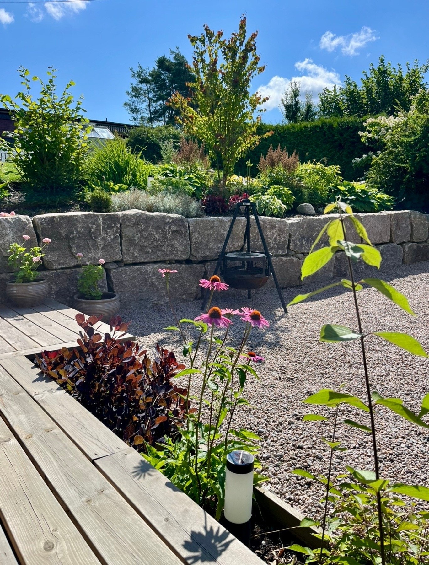 Selger foto fra sommeren Galleribilde