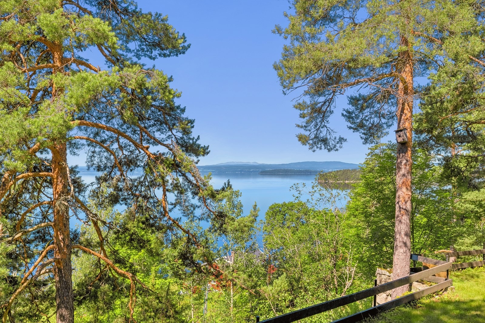 Nyt utsikten! Galleribilde
