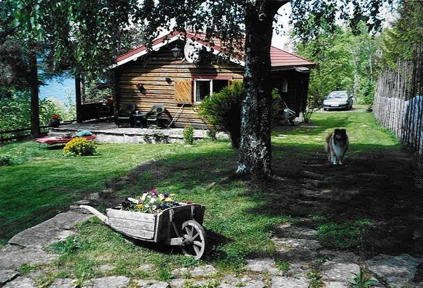 Selgers eget sommerbilde fra hytta. Galleribilde