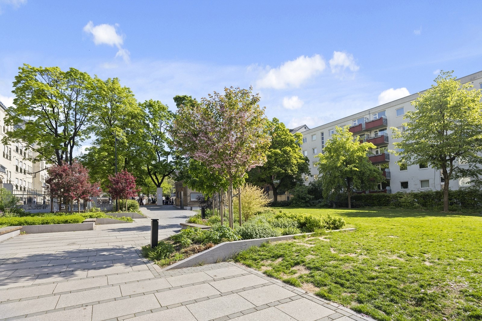 Områdebilde. Galleribilde