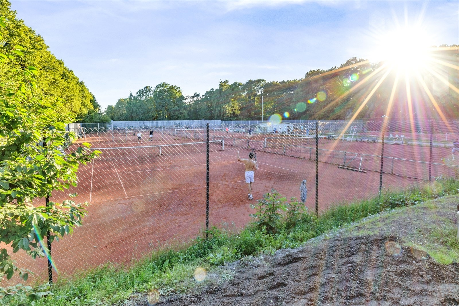 Dersom du liker tennis er anlegget i Frognerparken et steinkast unna Galleribilde