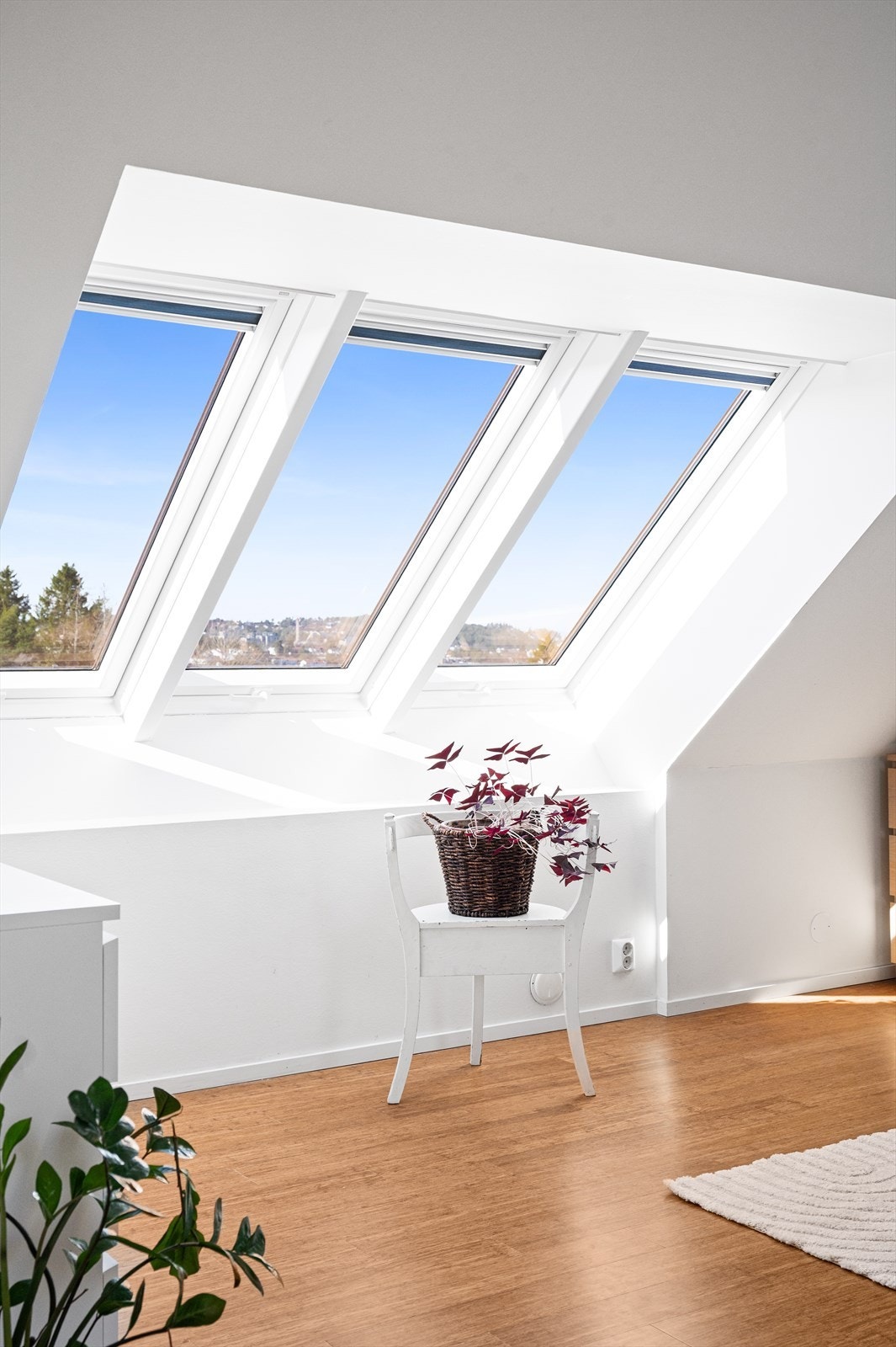 Store takvinduer sikrer naturlig lysinnslipp. Galleribilde